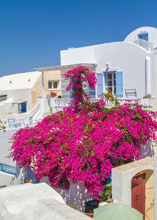 Evilio Houses Oia  Bagian luar foto